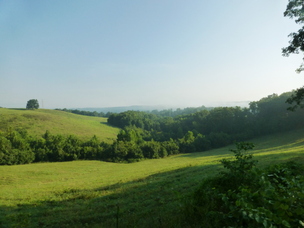 Even MORE beautiful nature...but also very hilly nature...