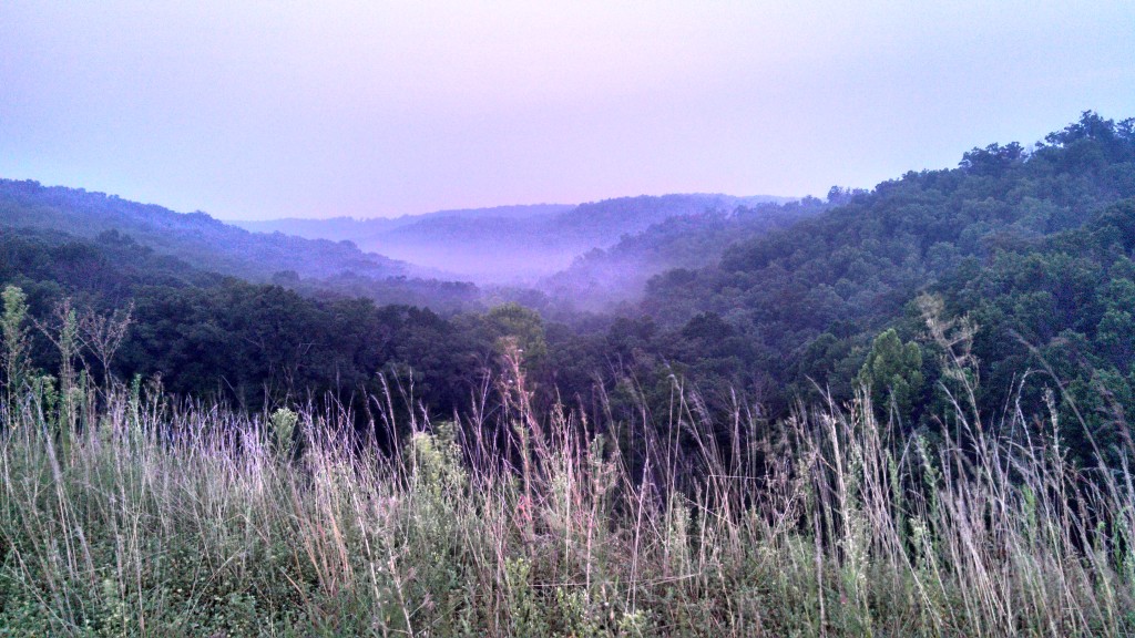 More beautiful mist in beautiful hills